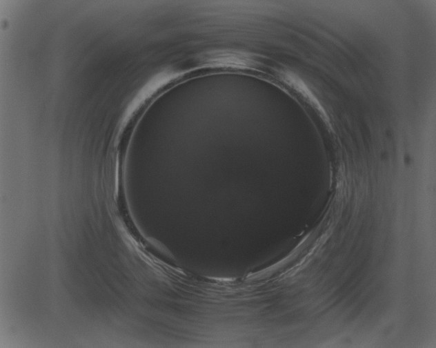 X0000082971323200702011348
