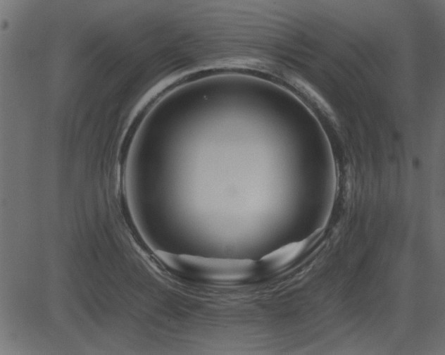 X0000082971324200702011348