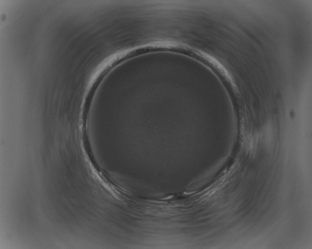X0000082971327200702011348