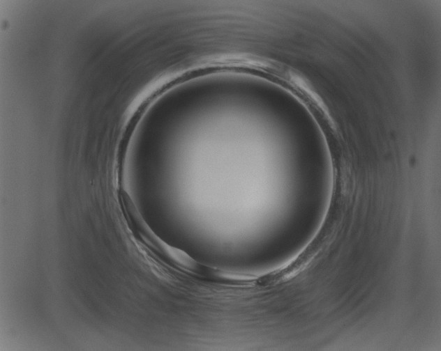 X0000082971328200702011348