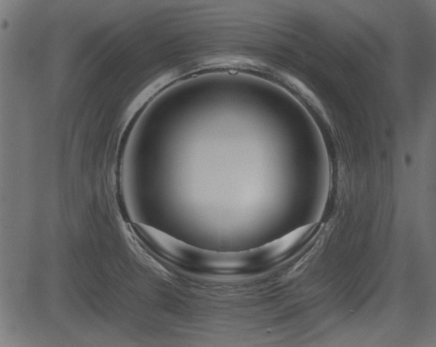 X0000082971330200702011348