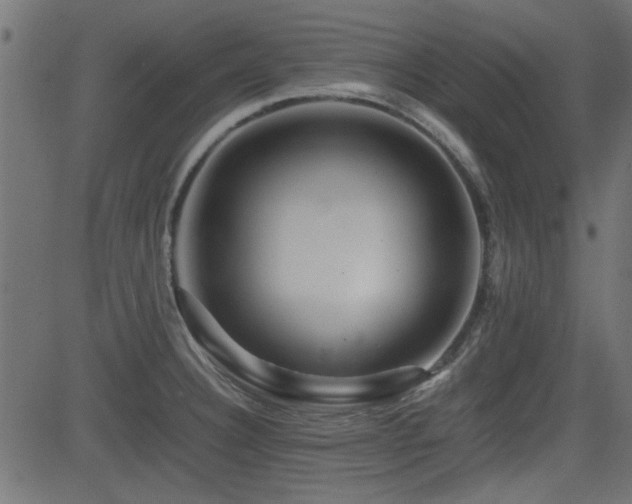 X0000082971332200702011348