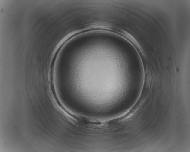 X0000082971339200702011348