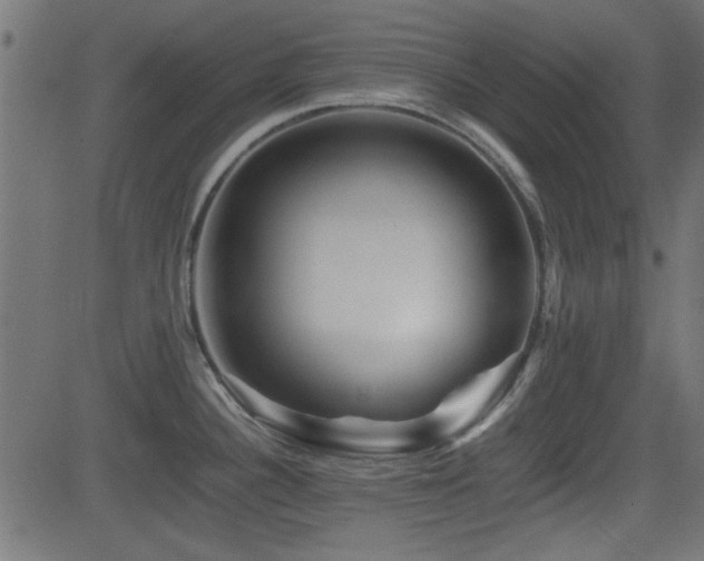 X0000082971340200702011348