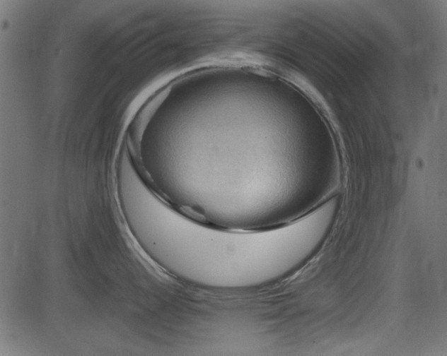 X0000082971344200702011348
