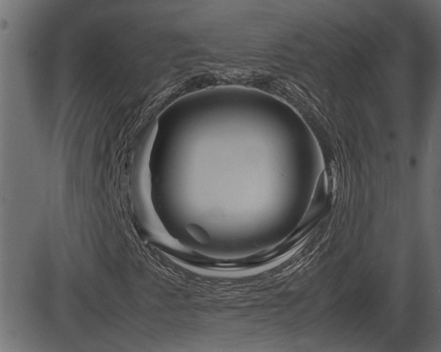 X0000082971345200702011348