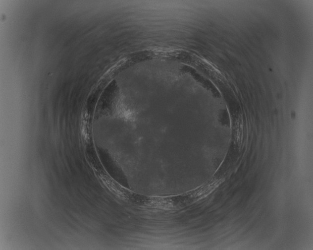 X0000082971346200702011348