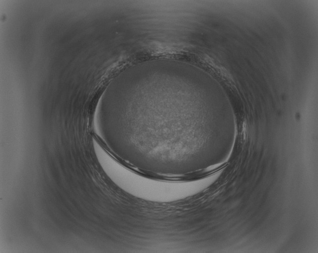 X0000082971348200702011348