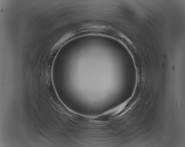 X0000082971354200702011348
