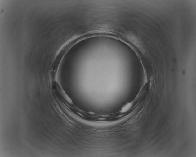 X0000082971356200702011348