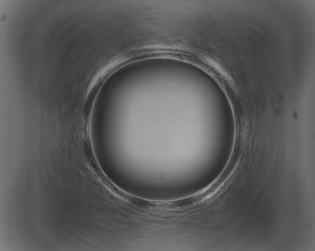 X0000082971357200702011348