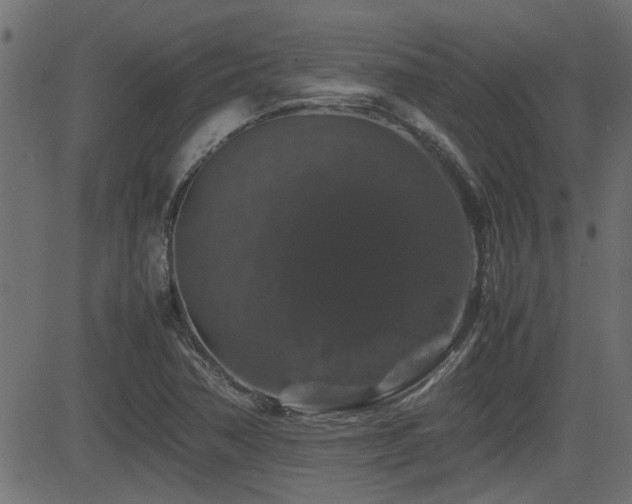 X0000082971362200702011347