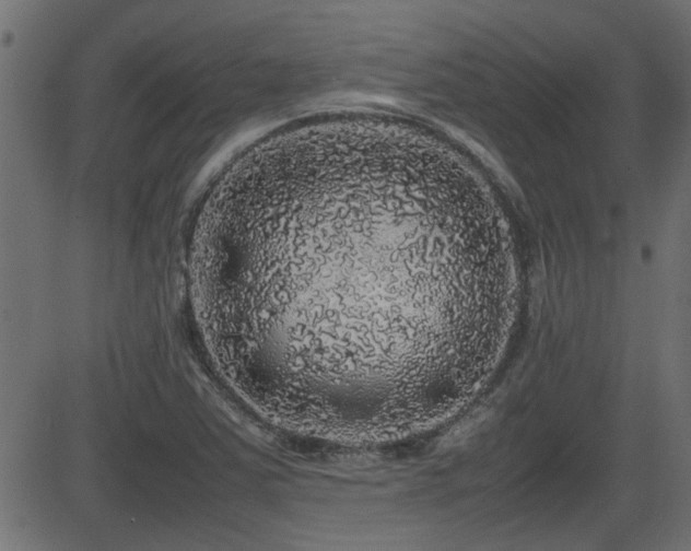 X0000082971363200702011347