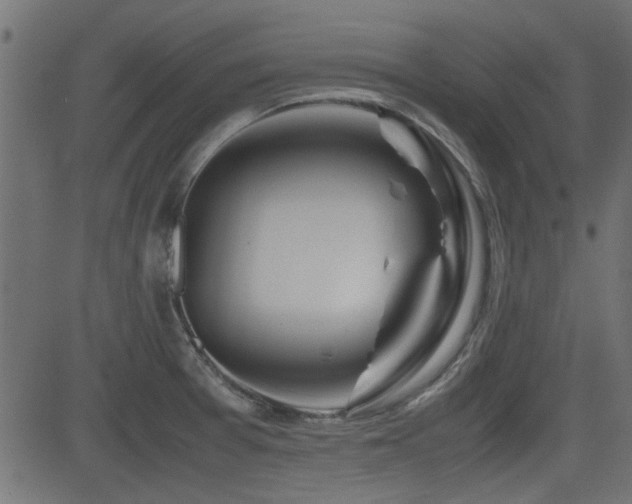 X0000082971377200702011347