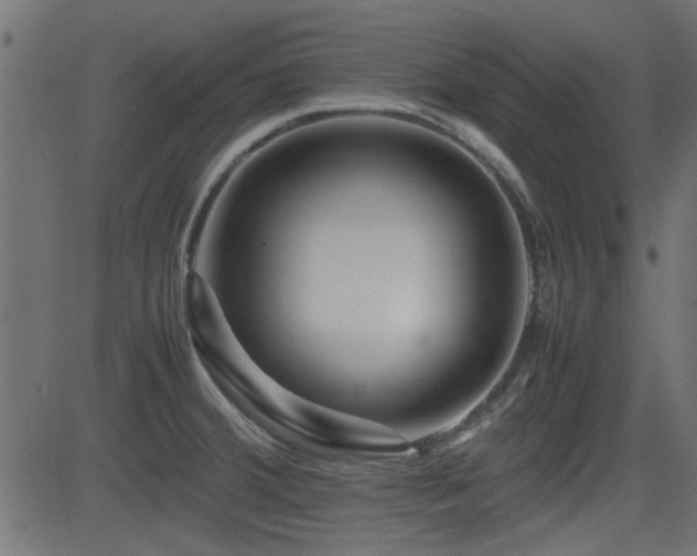 X0000082971380200702011347
