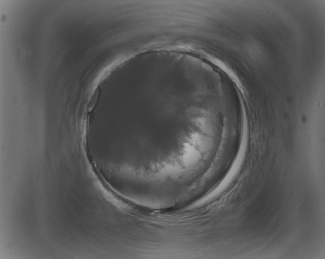 X0000082971383200702011347