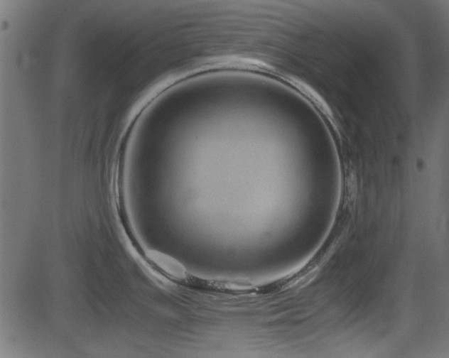 X0000082971391200702011347