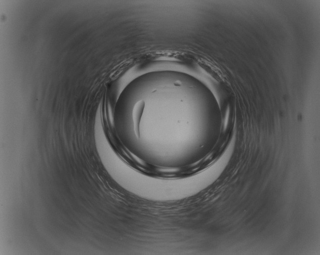 X0000082971394200702011346