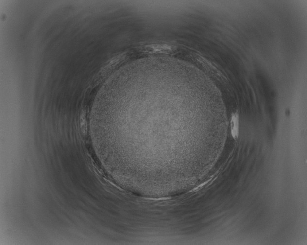 X0000082971395200702011346