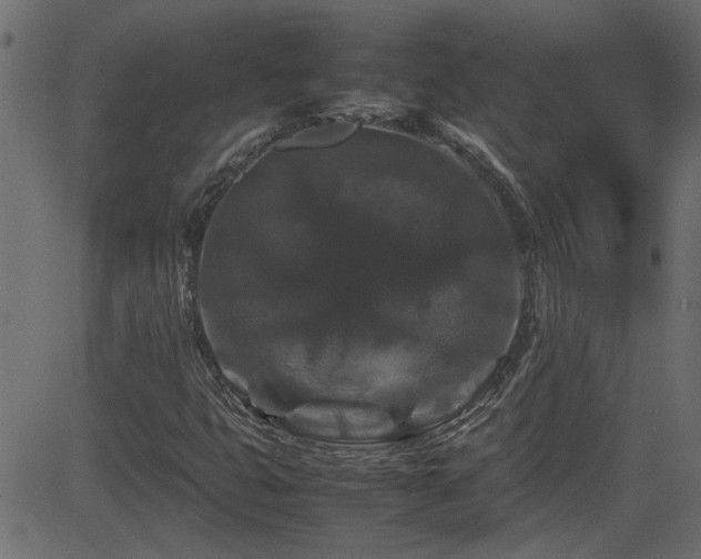 X0000082971399200702011346