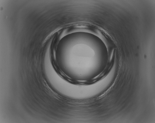 X0000082971402200702011346