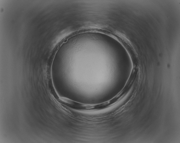 X0000082971404200702011346