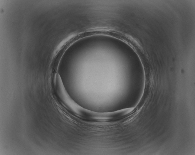 X0000082971406200702011346