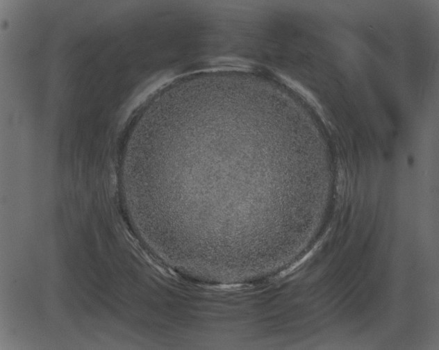 X0000082971407200702011346