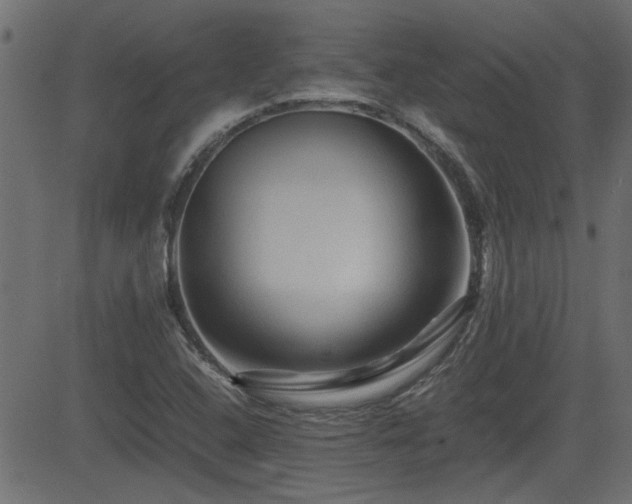 X0000082971408200702011346