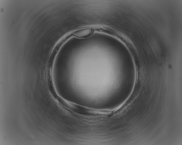 X0000082971412200702011346