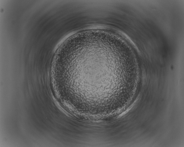 X0000082971417200702011347