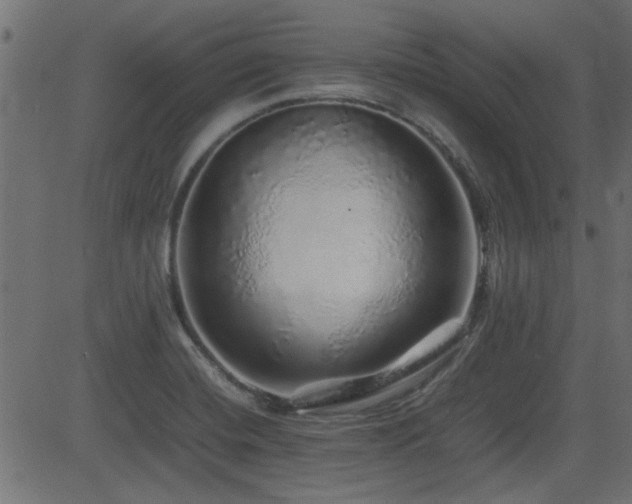 X0000082971420200702011347