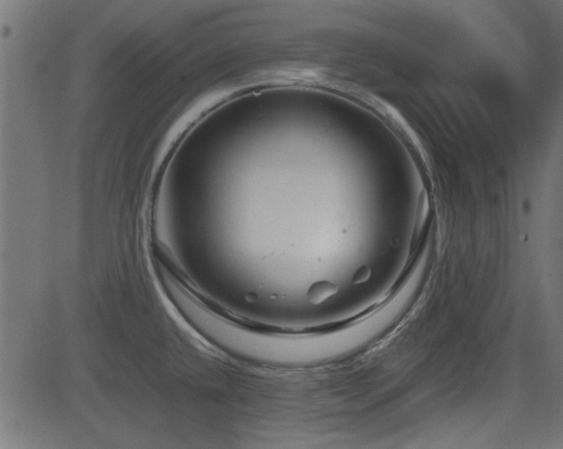 X0000082971432200702011347