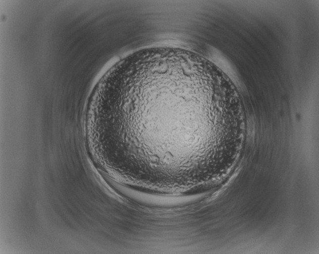 X0000082971436200702011347