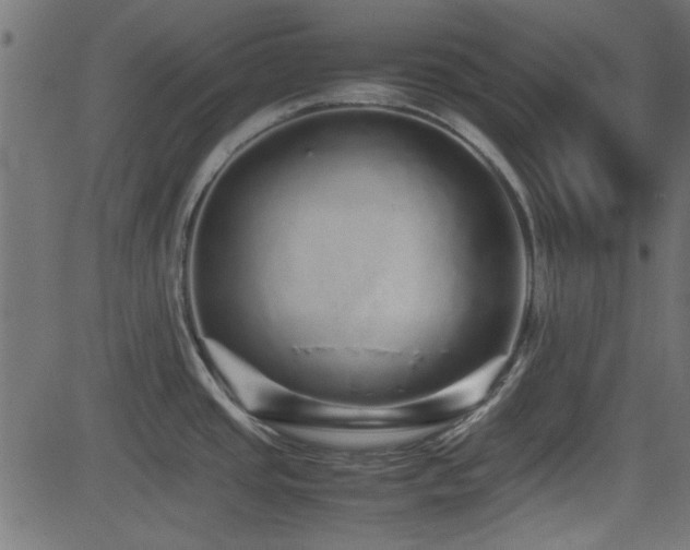 X0000082971437200702011347