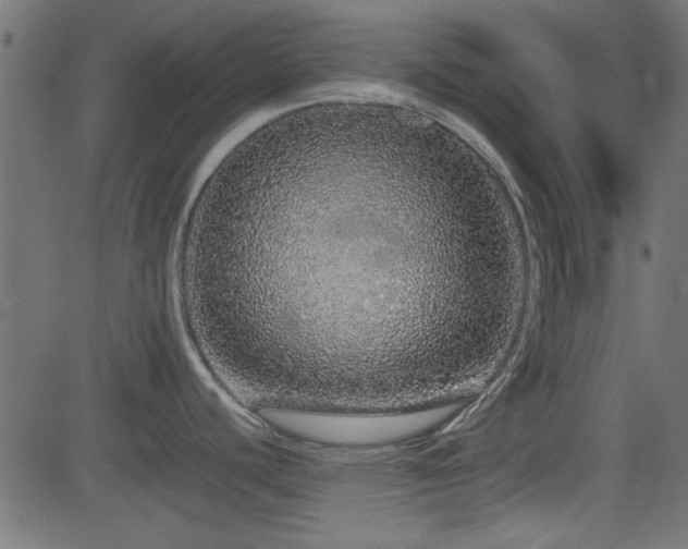 X0000082971440200702011347