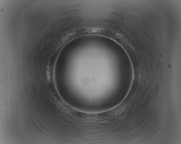 X0000082971442200702011346