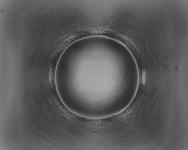 X0000082971444200702011346