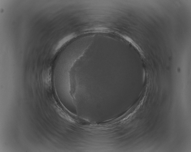 X0000082971450200702011346