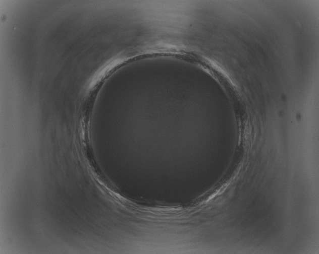 X0000082971455200702011346