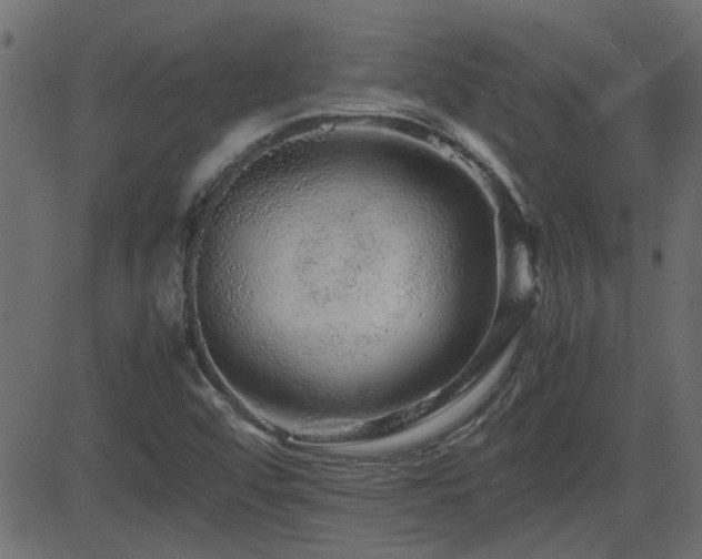 X0000082971456200702011346