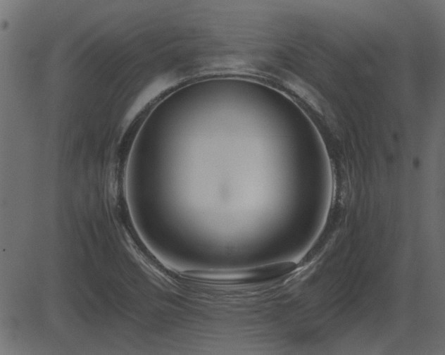 X0000082971458200702011346