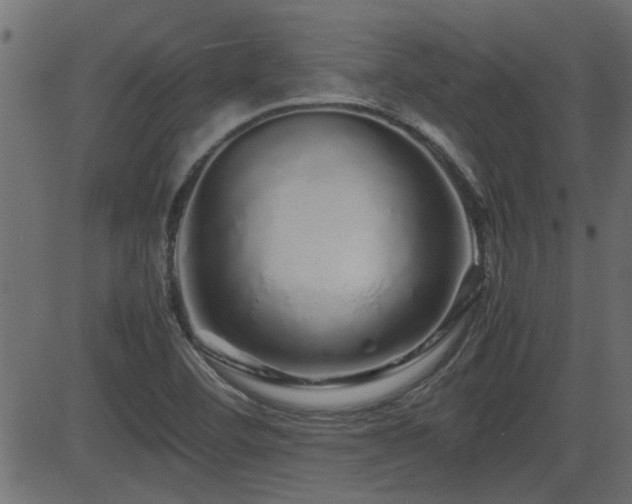 X0000082971460200702011346