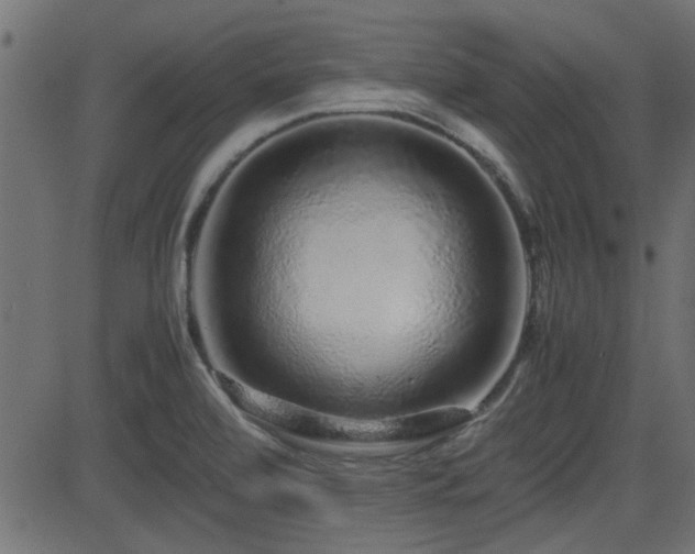 X0000082971472200702011346