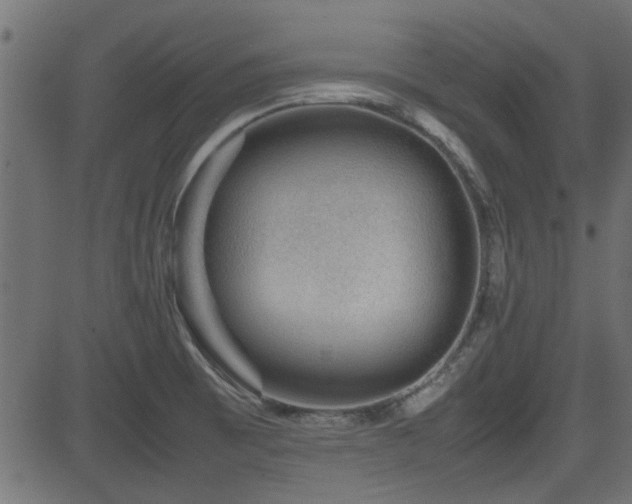 X0000082971473200702011346