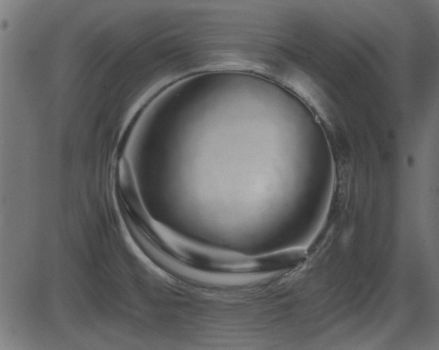 X0000082971476200702011346