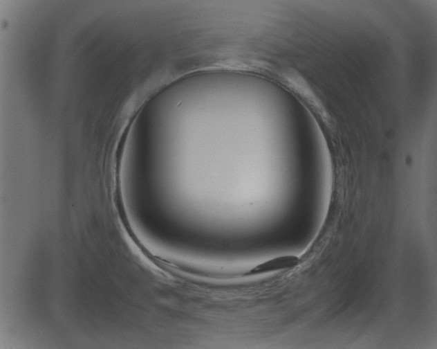 X0000082971479200702011346