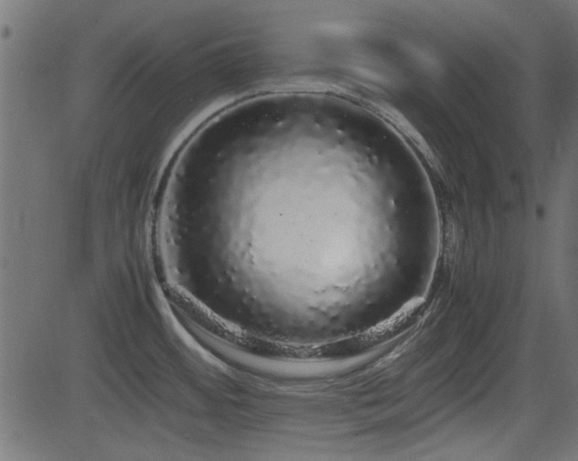 X0000082971484200702011345