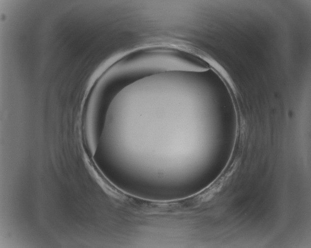 X0000082971485200702011345