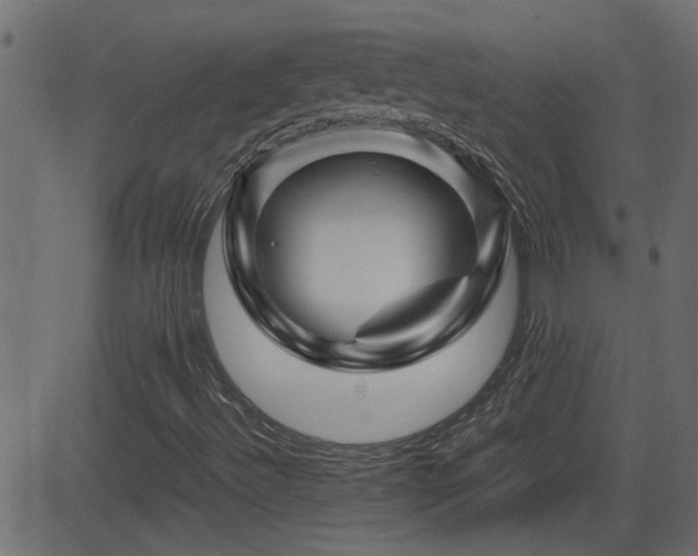 X0000082971492200702011345